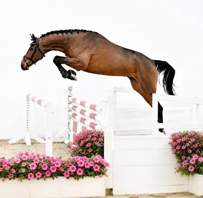 Fenomenal en el estilo de salto perfecto y con una fuerza increíble