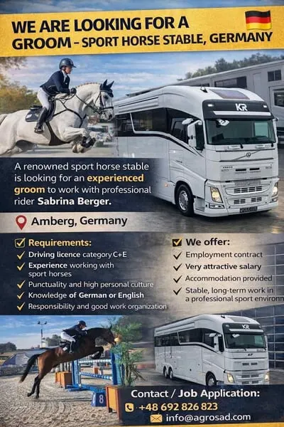 Wir suchen einen Pferdewirt für einen professionellen Reiter.