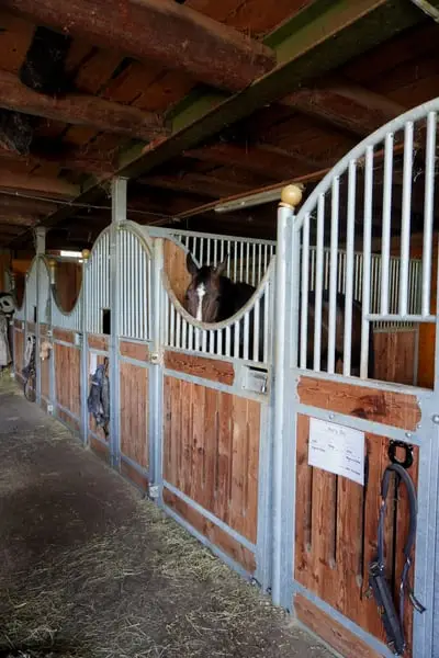 Professioneller, familiär geführter Pferdestall bietet Pferdepension, Pferdetraining und Reitunterri