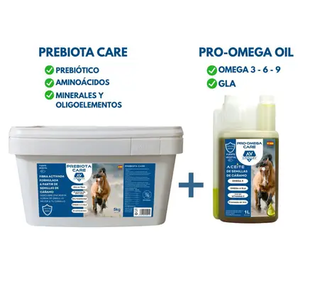 Paket Ganzheitliche Gesundheit