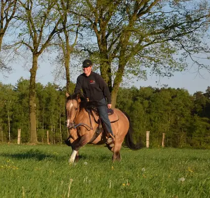Quarter Horse Deckhengst in Dunskin mit top Charakter, Herz und