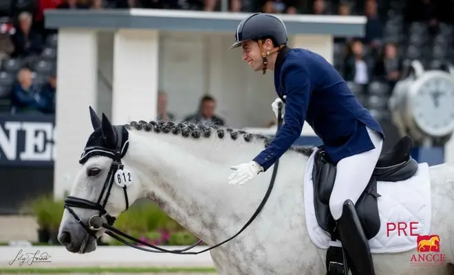 PRE-Hengst – Champion-Genetik