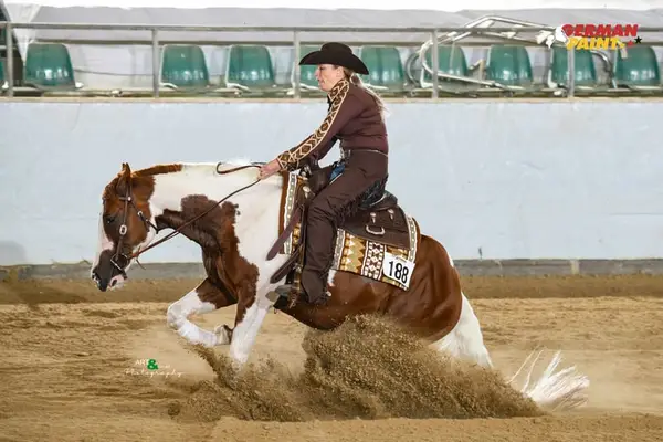 Paint Hengst der extraklasse