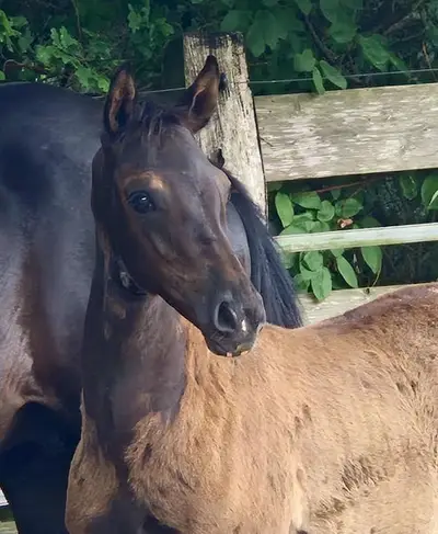 Beautiful Secret Daughter from the Alferate Line!