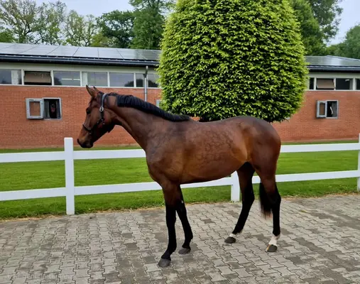 Bewegungsstarke Escaneno Tochter!