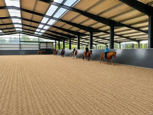 Reitlehrer*in (m/w/d) für Islandpferdehof (Trainer C, Pferdewirt Spezialreitweisen)