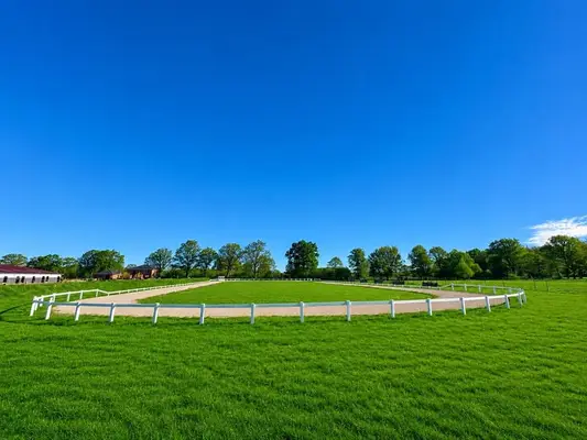 Reitlehrer*in (m/w/d) für Islandpferdehof (Trainer C, Pferdewirt Spezialreitweisen)