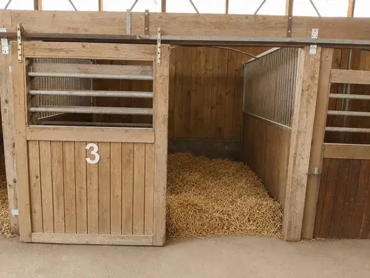 Stalltrack in idyllischer Lage zu verpachten, 8 Boxen, Außenpaddocks, Laufstall