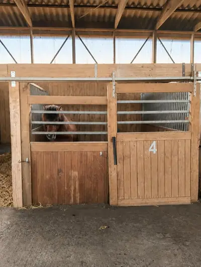 Stalltrack in idyllischer Lage zu verpachten, 8 Boxen, Außenpaddocks, Laufstall