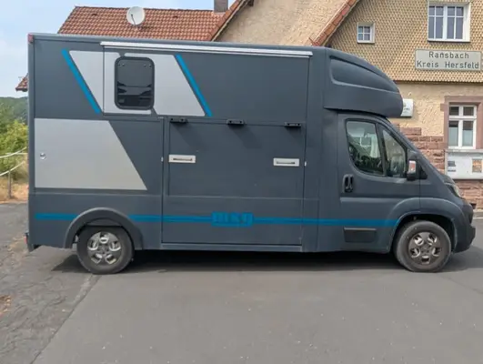 Zwei Pferdetransporter Peugeot