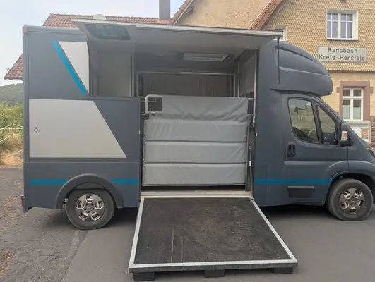 Zwei Pferdetransporter Peugeot