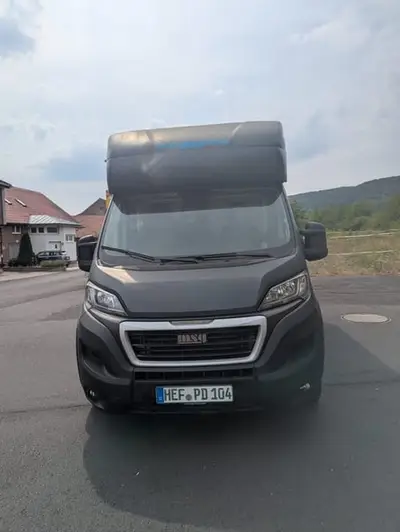 Zwei Pferdetransporter Peugeot