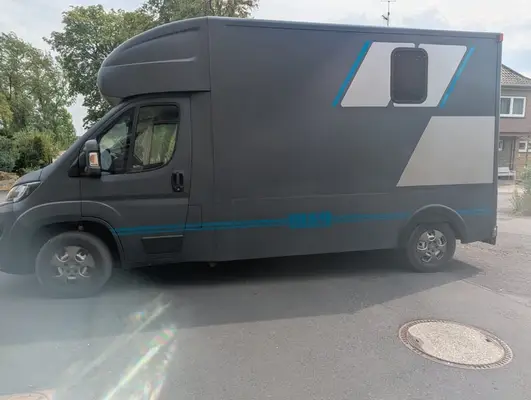 Zwei Pferdetransporter Peugeot