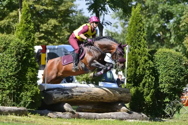 Überflieger im Ponyformat