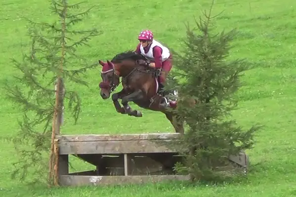 Überflieger im Ponyformat