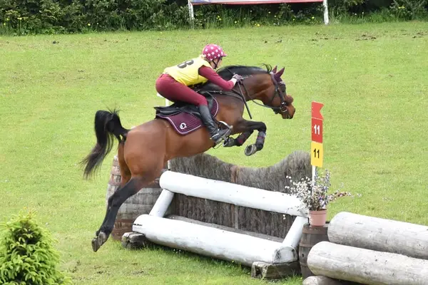 Überflieger im Ponyformat