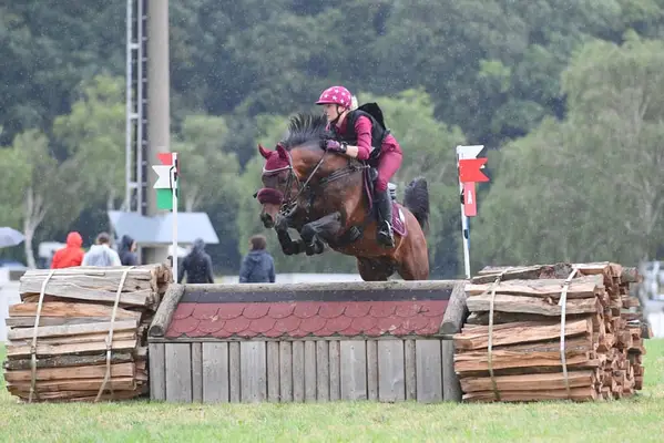 Überflieger im Ponyformat