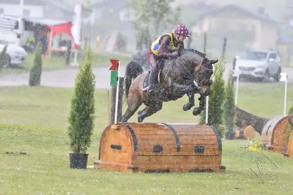 Überflieger im Ponyformat