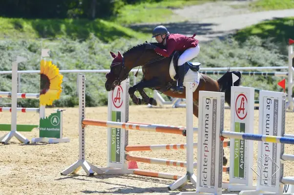 Überflieger im Ponyformat