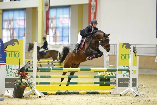 Überflieger im Ponyformat