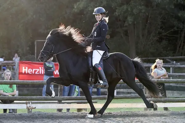 Lackschwarze Perle: T2-Fünfgang-Viergang-Pass Genie
