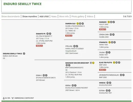 ZU VERKAUFEN – Hengst 2025: Enduro Semilly Twice (Diakato PS / Diarado)
