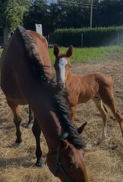 Zwei außergewöhnliche Familien. Eine moderne Verbindung.