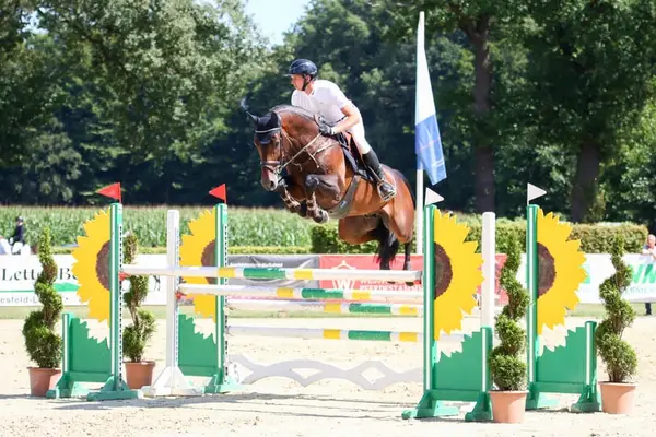 Zinedream