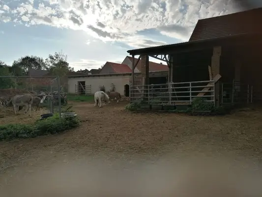 Historischer Vierseitenhof mit Herrenhaus und Potenzial für Pferdehaltung