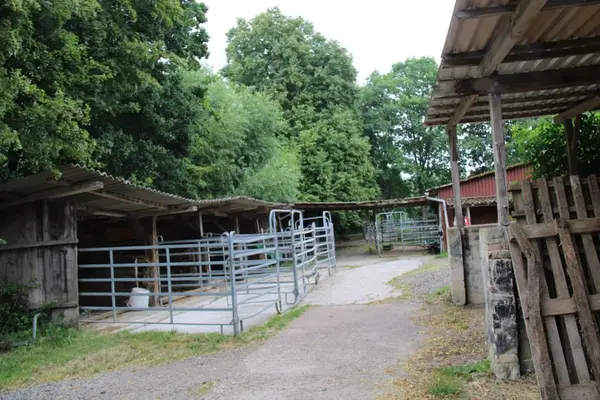 Etablierte Ranch- und Reitanlage – ca. 8 ha arrondierte Fläche – vielseitig nutzbar