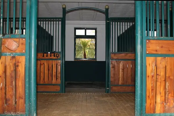 Pferdebetrieb mit ca. 18 ha Eigenland, umfangreicher Reitanlage und mehreren Wohneinheiten