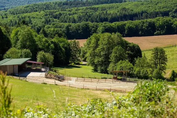 Pferdebetrieb mit ca. 18 ha Eigenland, umfangreicher Reitanlage und mehreren Wohneinheiten