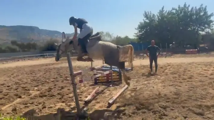 Pony Da Salto