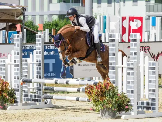 Belle jument poney