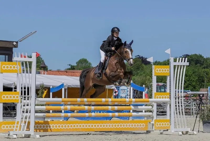 Sport Pony