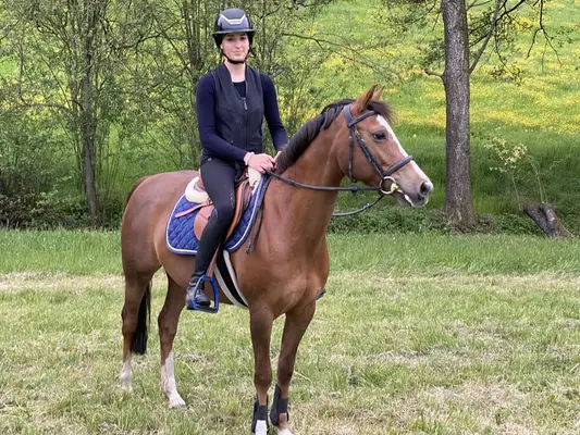 Sport Pony