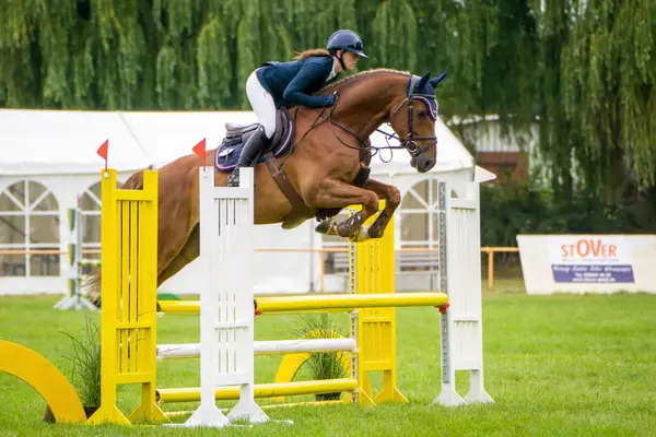 Tolles Amateur Springpferd