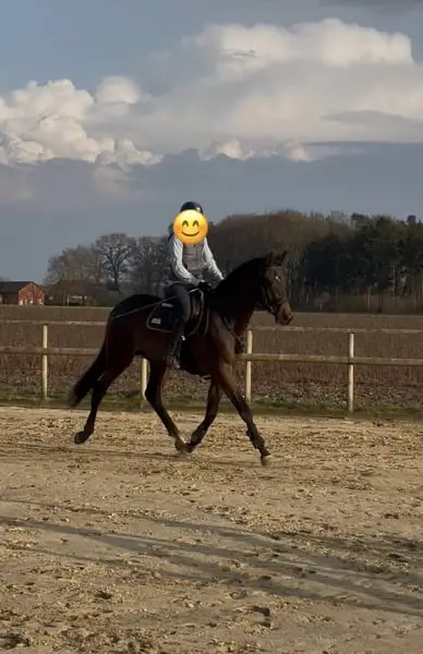 Springtalent mit bester Einstellung
