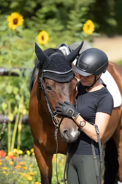 Symphatischer Trakehner-Wallach für Sport- und Freizeit