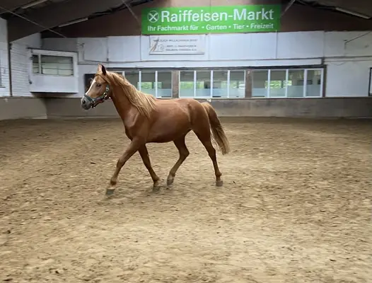 Liebe auf den ersten Blick!