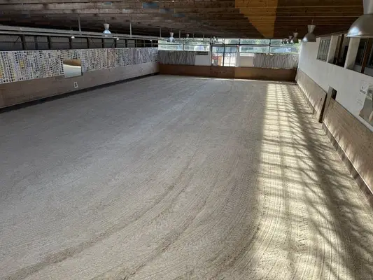 Gepflegte Reitanlage direkt an der Grenze zur Schweiz!