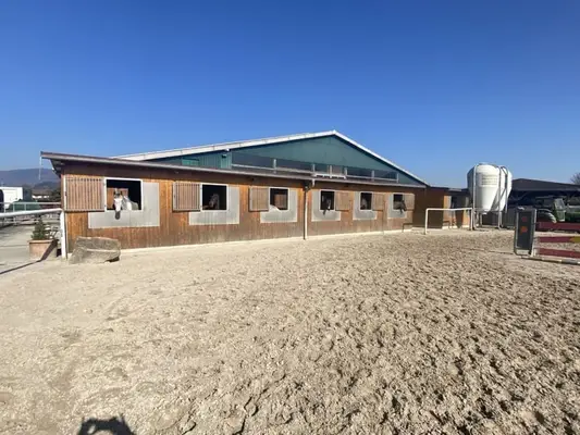Gepflegte Reitanlage direkt an der Grenze zur Schweiz!
