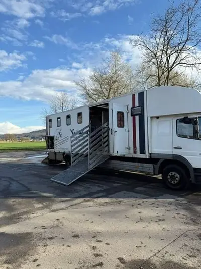 Pferdetransporte für 7 Pferde