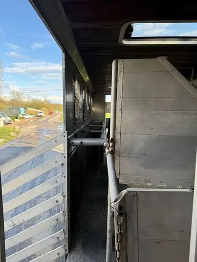 Pferdetransporte für 7 Pferde