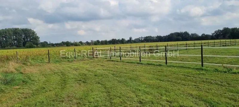 Instalación ecuestre profesional en Alta Austria