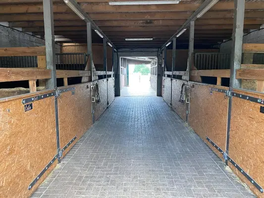 Vielseitige Reitanlage mit großzügigem Zweifamilienhaus in Hude (Landkreis Oldenburg)