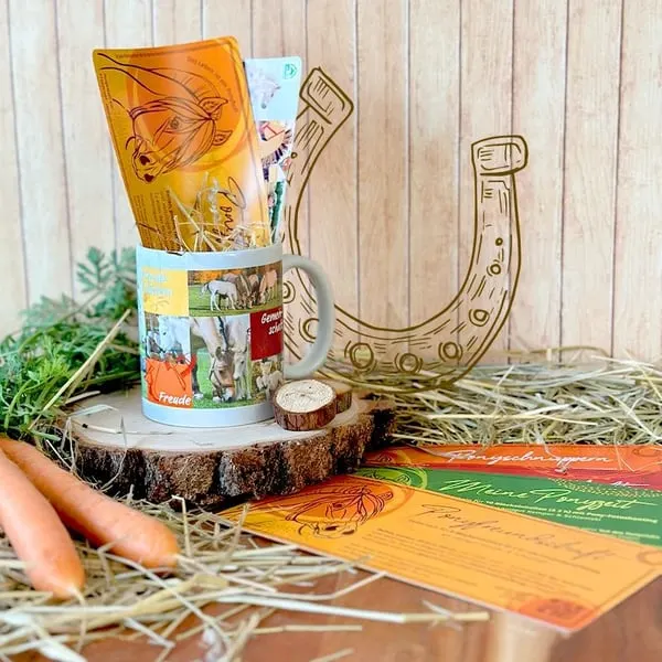 Weihnachtsgeschenke für kleine Pferdefans