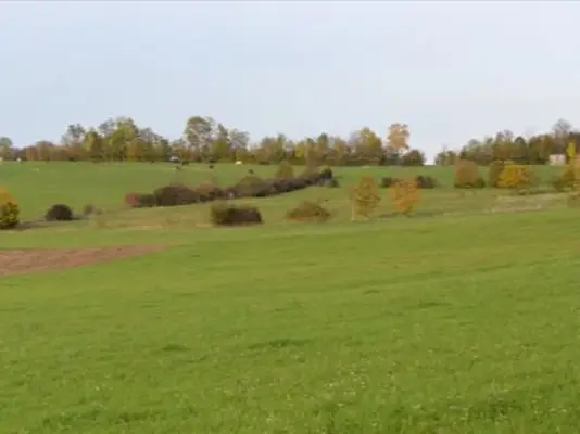Сельское хозяйство с конным комплексом в сказочном месте V14466