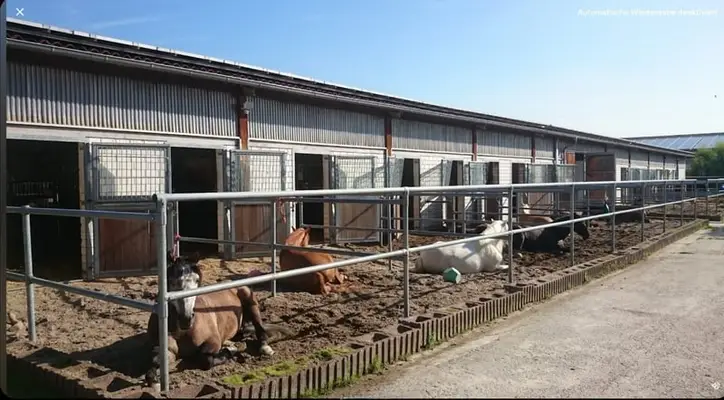 RESERVIERT - Professionelle Reitanlage für den großen Sport Rhein-Neckar-Metropolregion V1757
