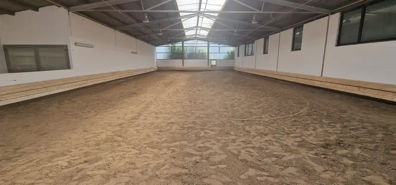RESERVIERT - Professionelle Reitanlage für den großen Sport Rhein-Neckar-Metropolregion V1757